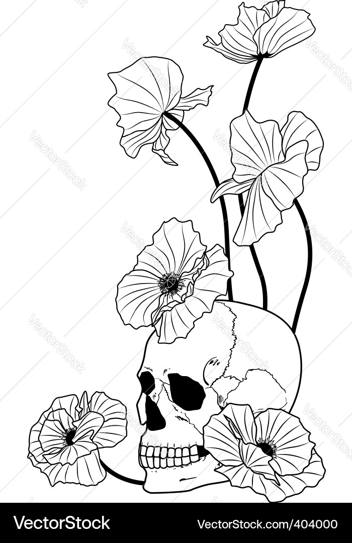 Skull with Poppies Vector Image