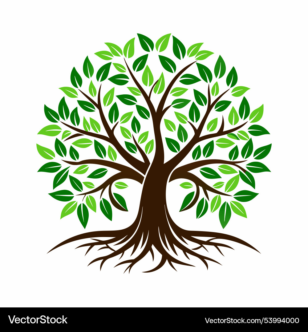 Tree roots flat style design Tree roots flat style design vector image