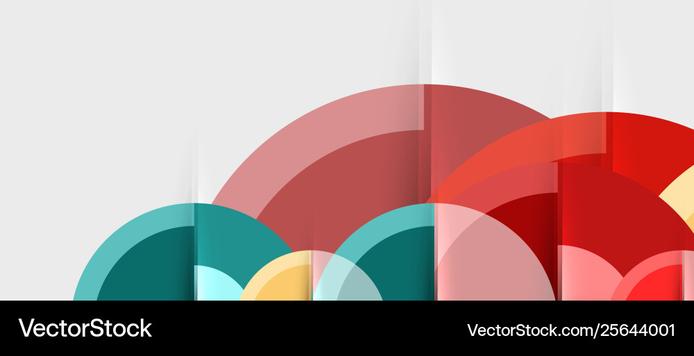 Geometric Circular Pattern vector image