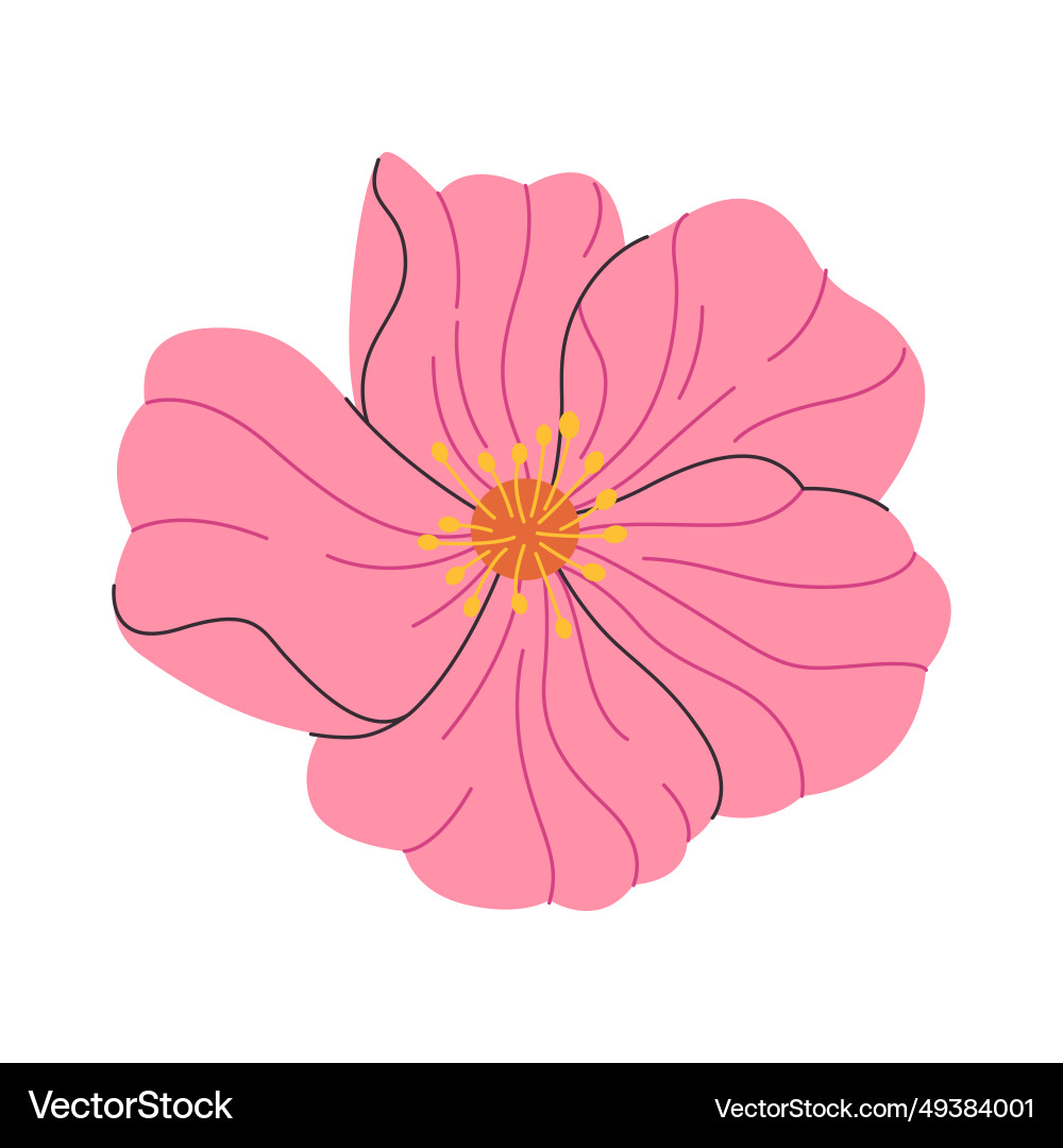 Rosa Farbe Blume Blüte frisch schöne natürliche Rosa Farbe Blume Blüte frisch schöne natürliche vektorbild
