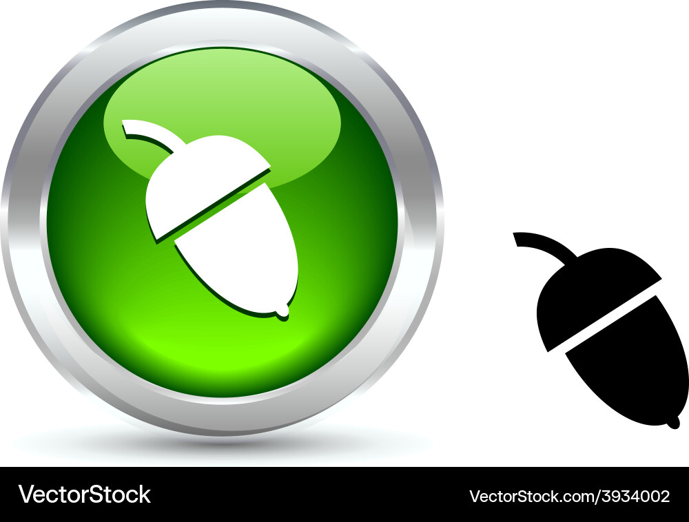 Acorn button Vector Image