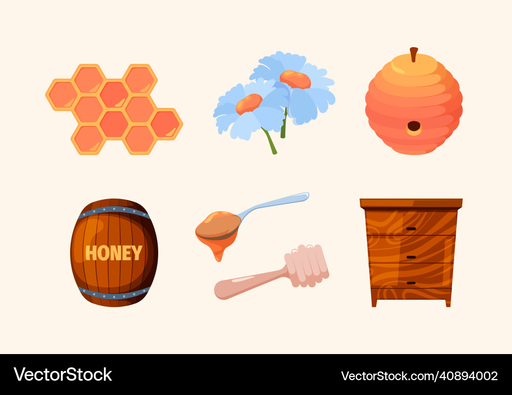 Honig-Set Bienenwaben Bienenwachs gesund lecker Honig-Set Bienenwaben Bienenwachs gesund lecker vektorbild