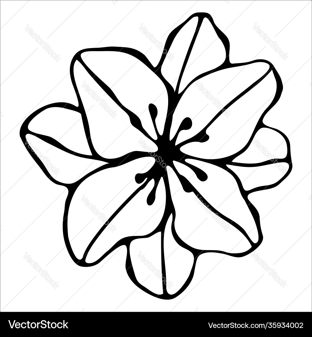 Isolated element with flower Vector Image