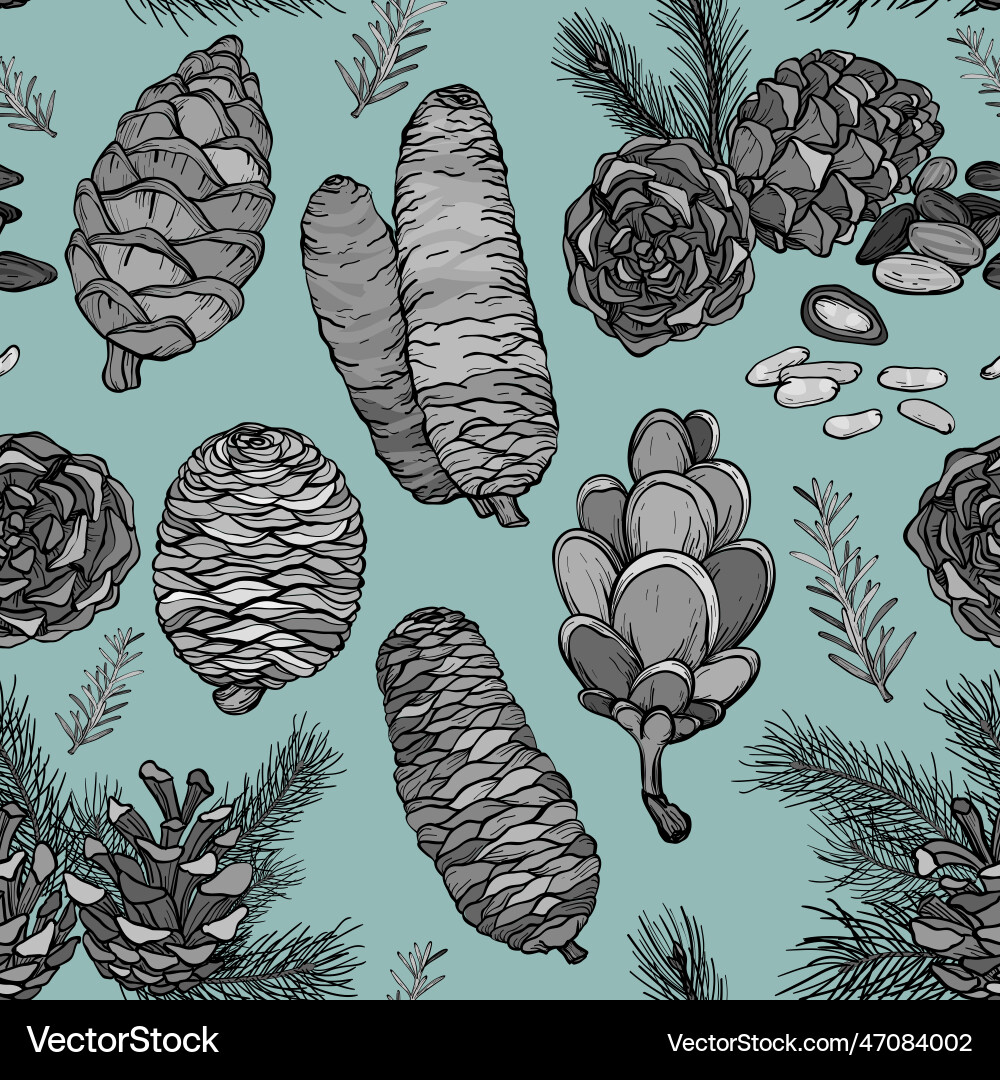 Seamless pattern with pine cones vector image