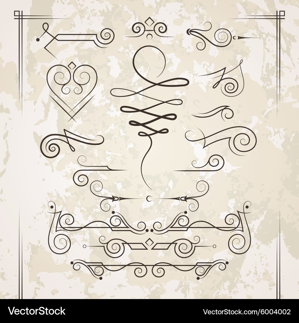 Set of elegant curls and swirls elements vector image