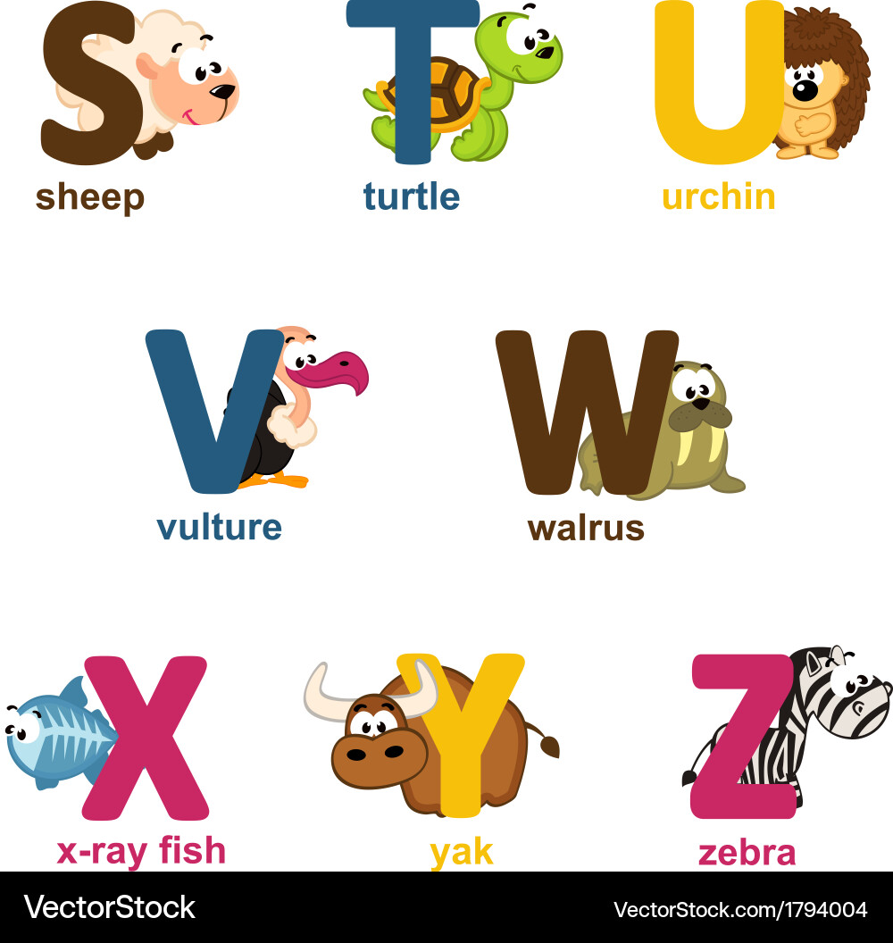 Alphabet Animals - S to Z Vector Image