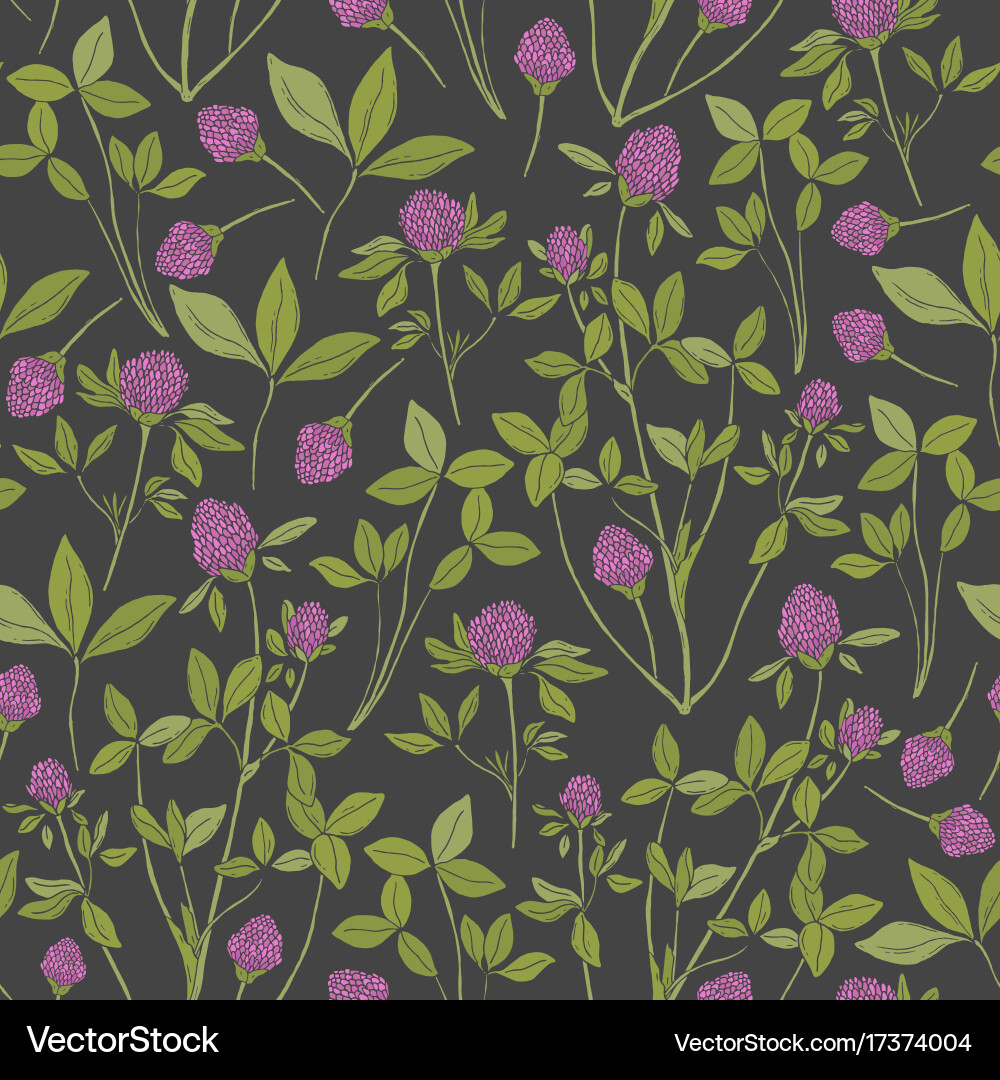 Botanical seamless pattern with red clover on dark Vector Image