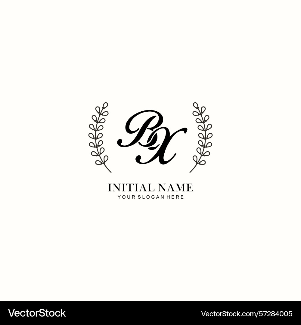 Bx initial logo templates with botanical elements Bx initial logo templates with botanical elements Vector Image