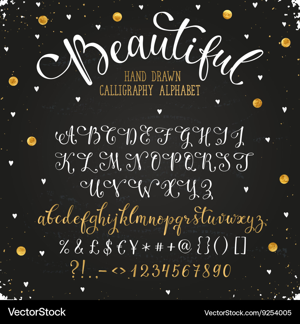 Elegant Calligraphy Script vector image