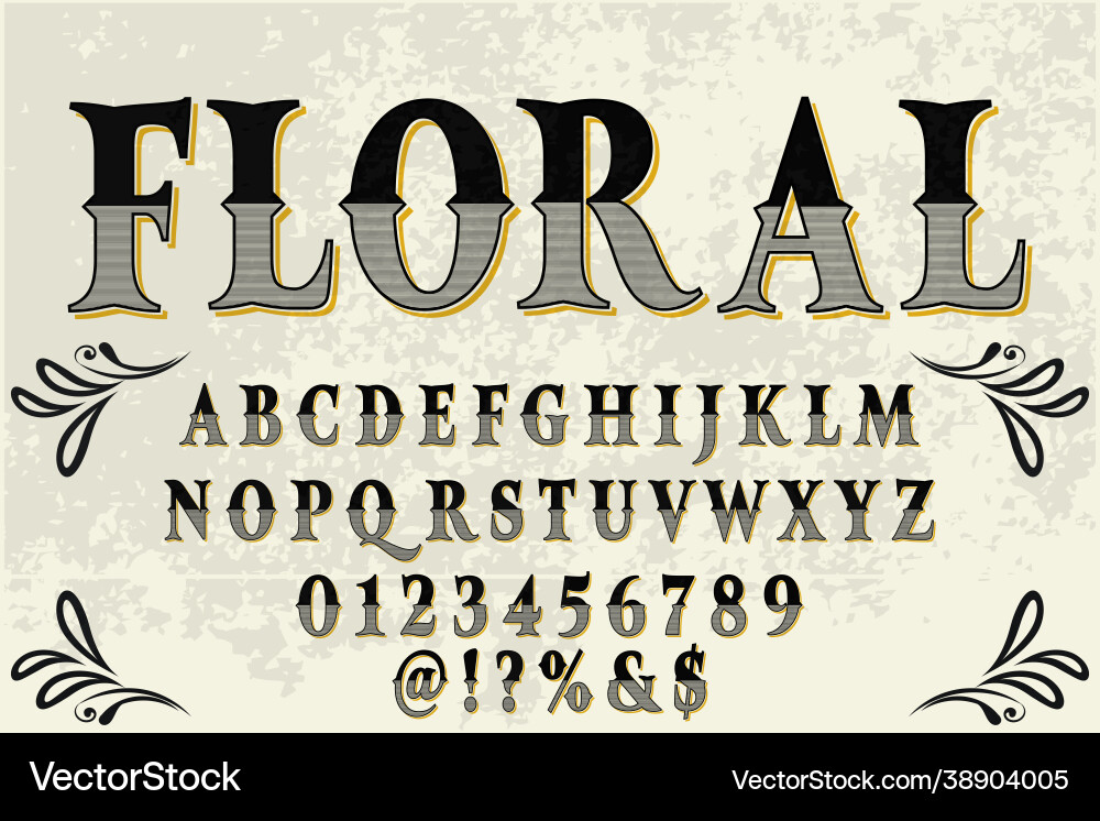 Elegant Script Font - Black & Gray vector image