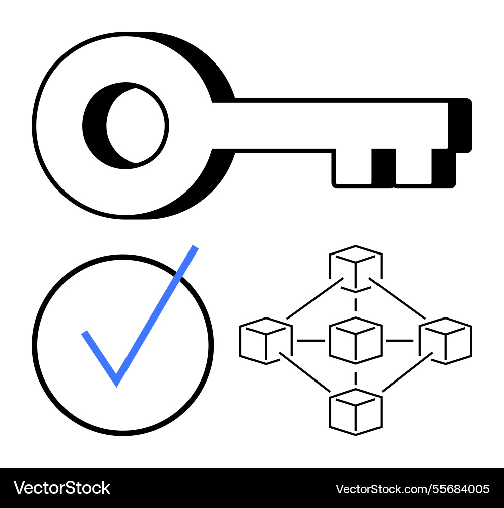 Key checkmark and blockchain network Key checkmark and blockchain network Vector Image