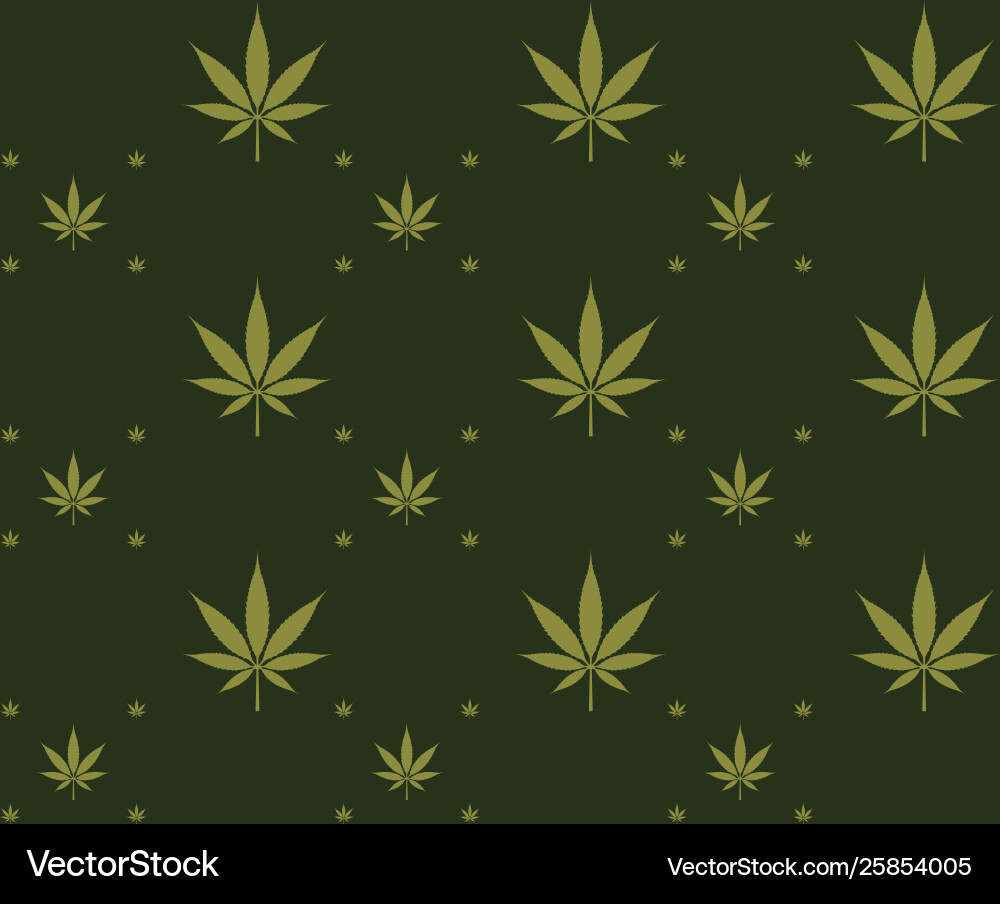 Nahtlose Marihuana Cannabis Muster Bild Nahtlose Marihuana Cannabis Muster Bild vektorbild