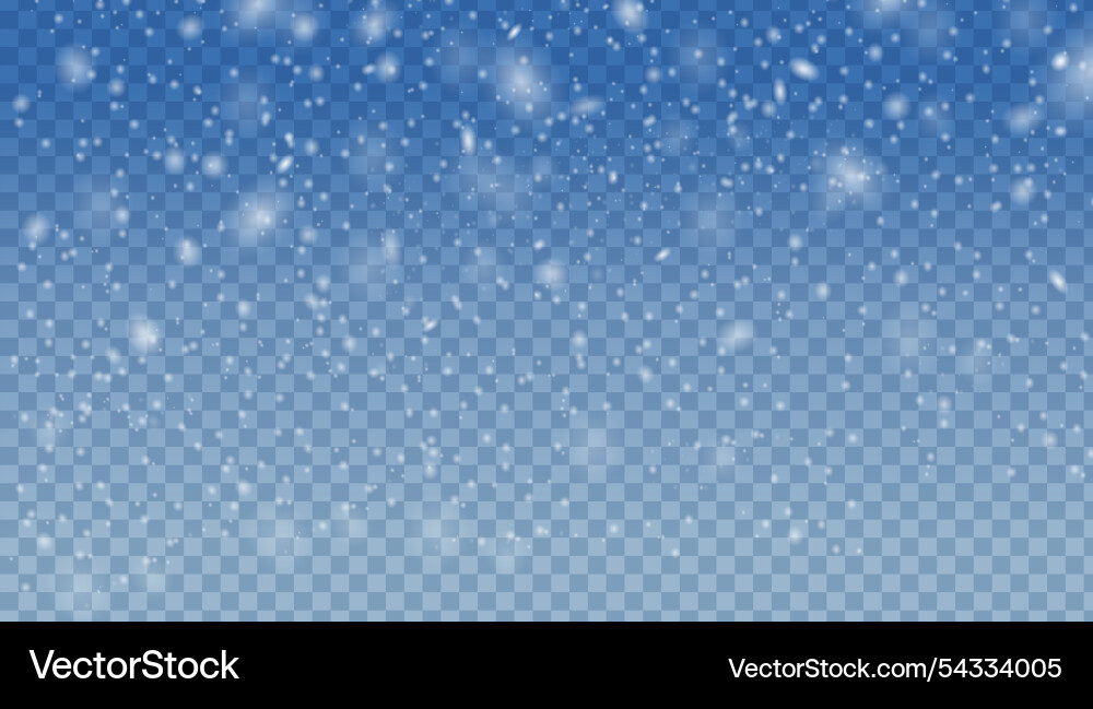 White snow with isolated transparent background vector image