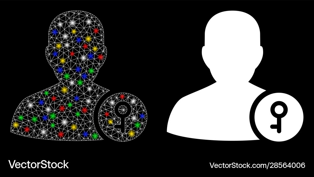 Glossy mesh network user key icon with light spots Glossy mesh network user key icon with light spots vector image