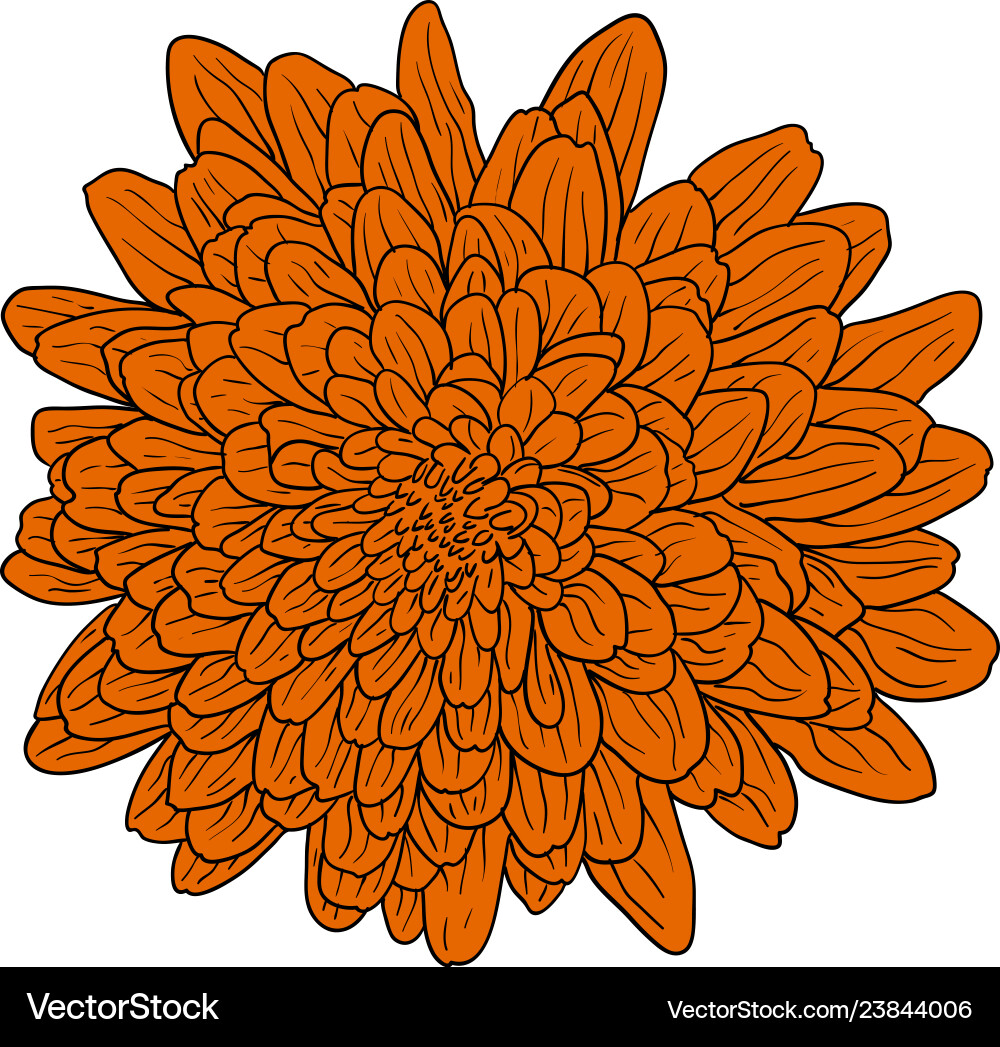 Schöne Farbskizze Dahlia Blume auf einem weißen Schöne Farbskizze Dahlia Blume auf einem weißen vektorbild