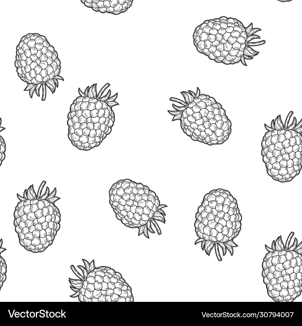 Raspberry isolated berry seamless pattern Raspberry isolated berry seamless pattern Vector Image