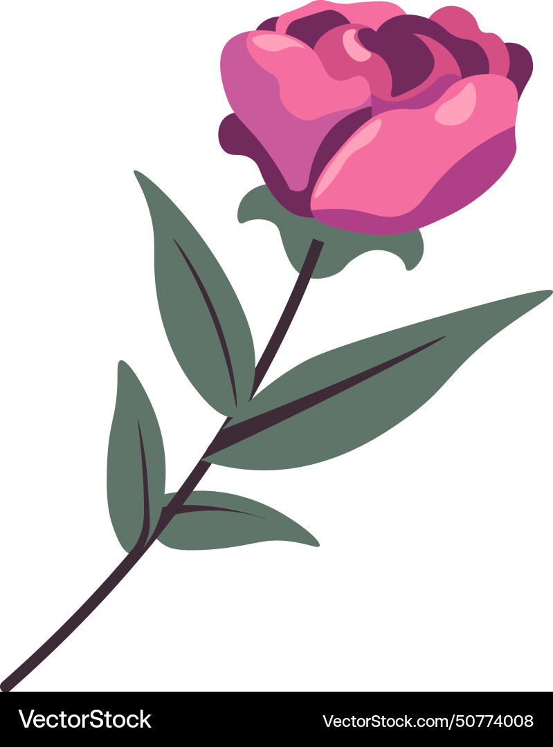 An elegant rose Royalty Free Vector Image - VectorStock