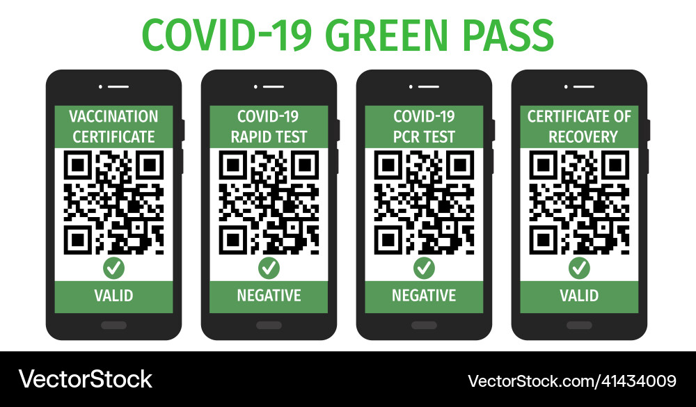 Digital green pass with qr code on mobile Vector Image