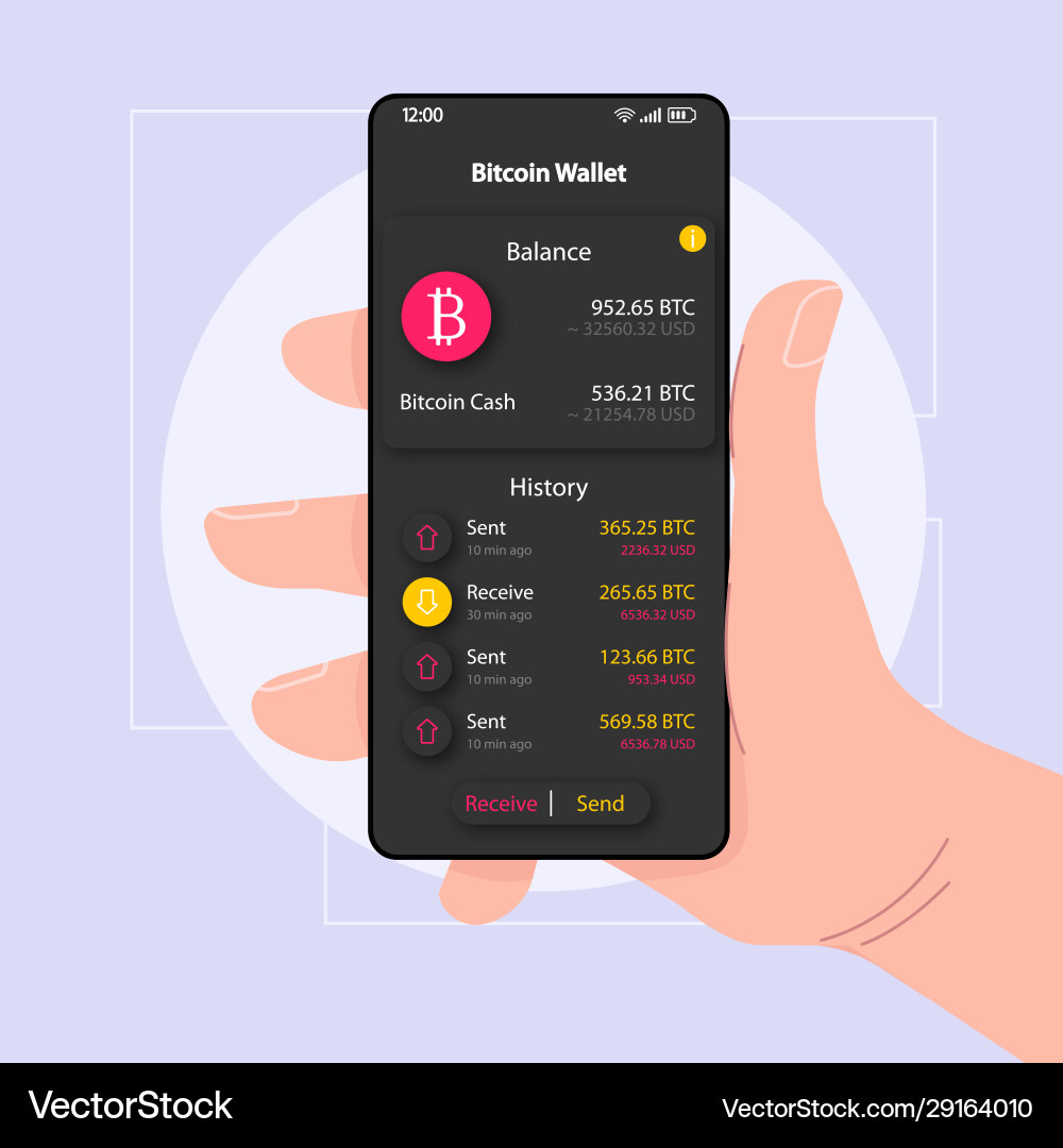 Bitcoin Wallet App Interface vector image