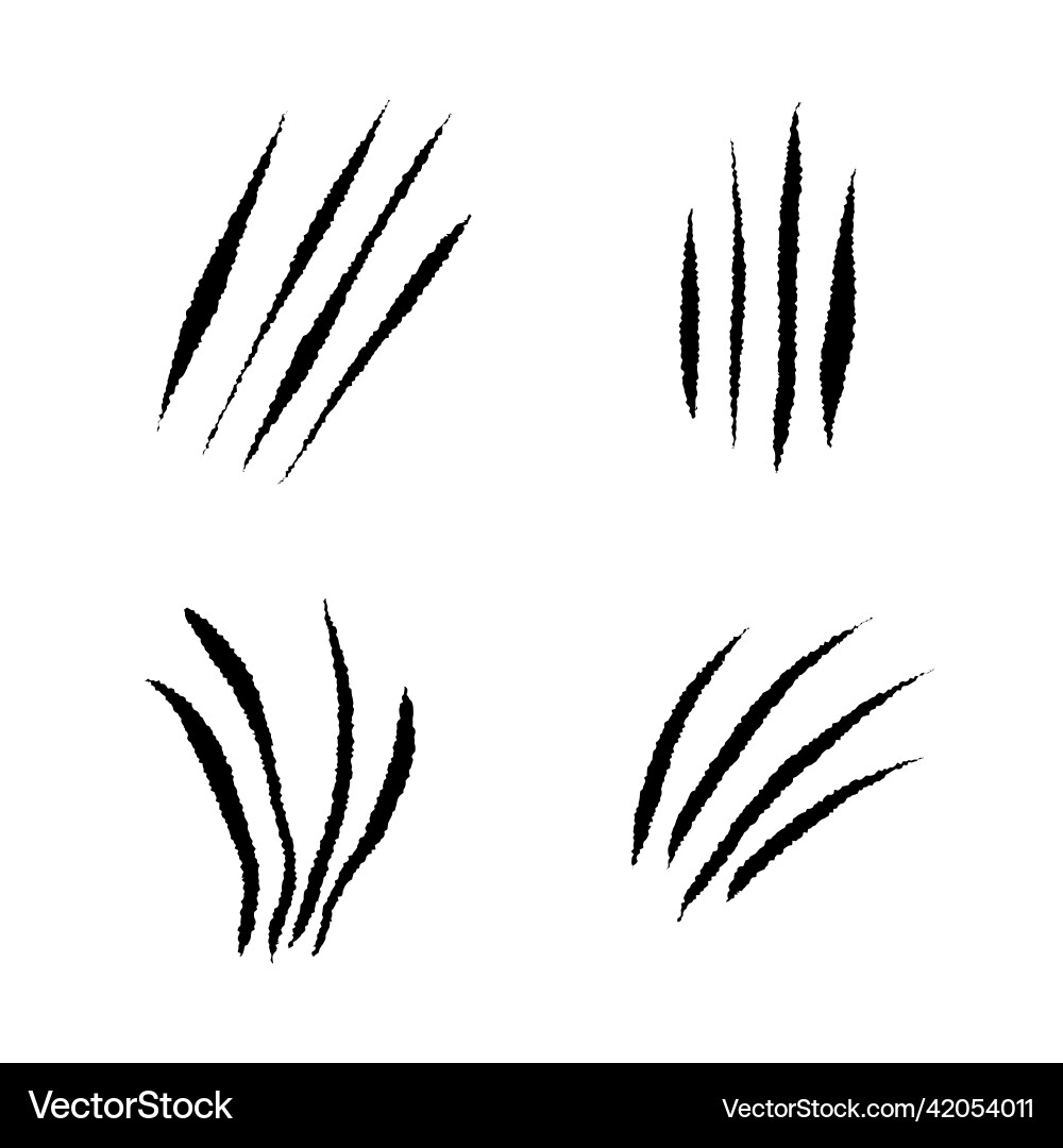 Animal scratches set Animal scratches set Vector Image