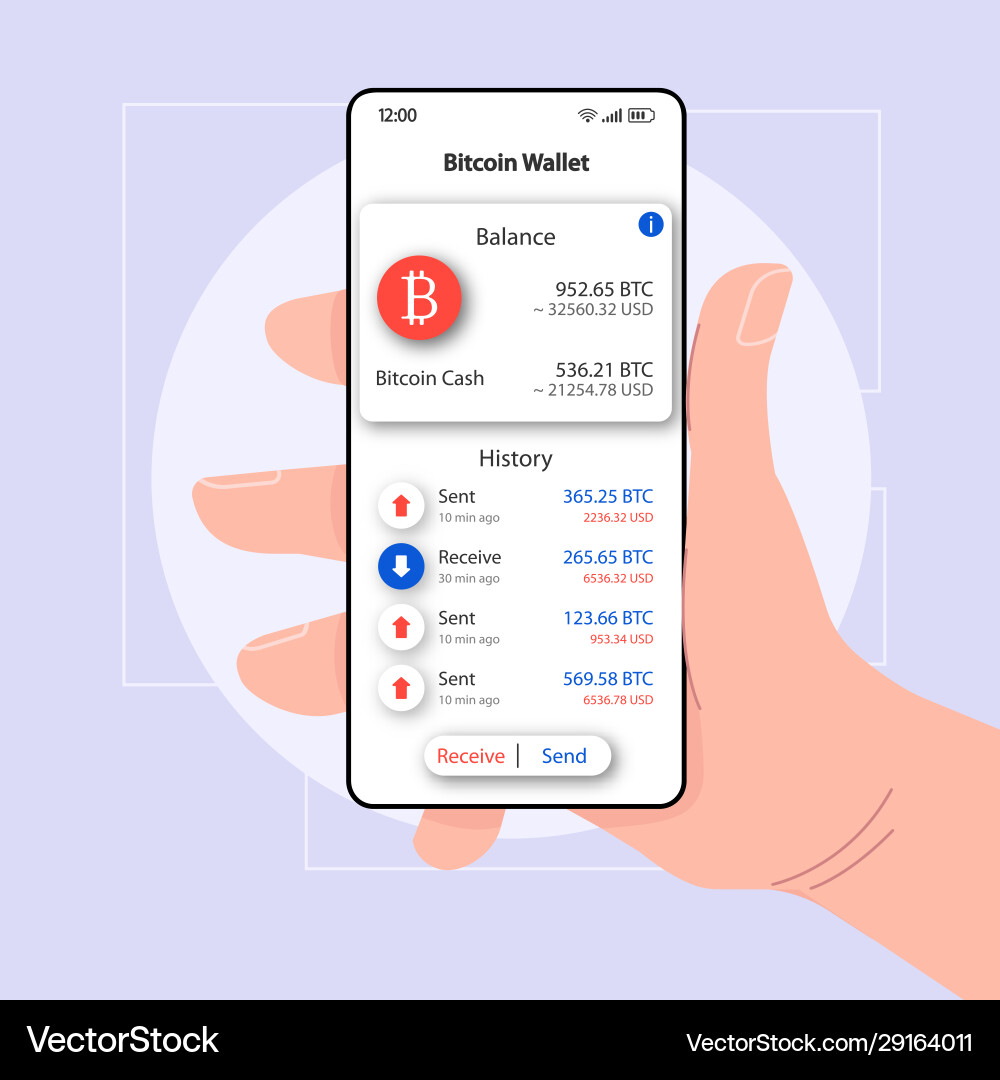 Bitcoin Wallet App Interface vector image