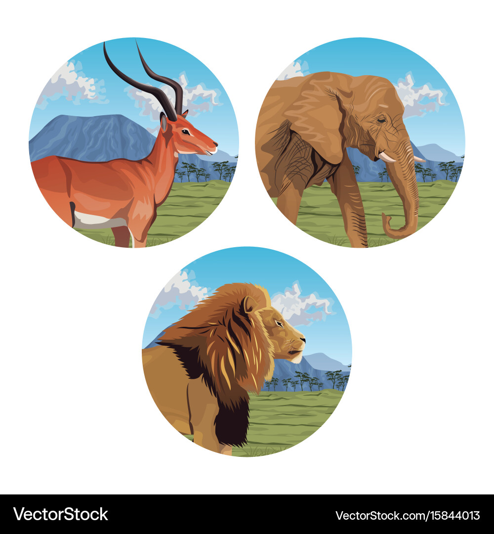 Circular frame with set closeup colorful scene vector image