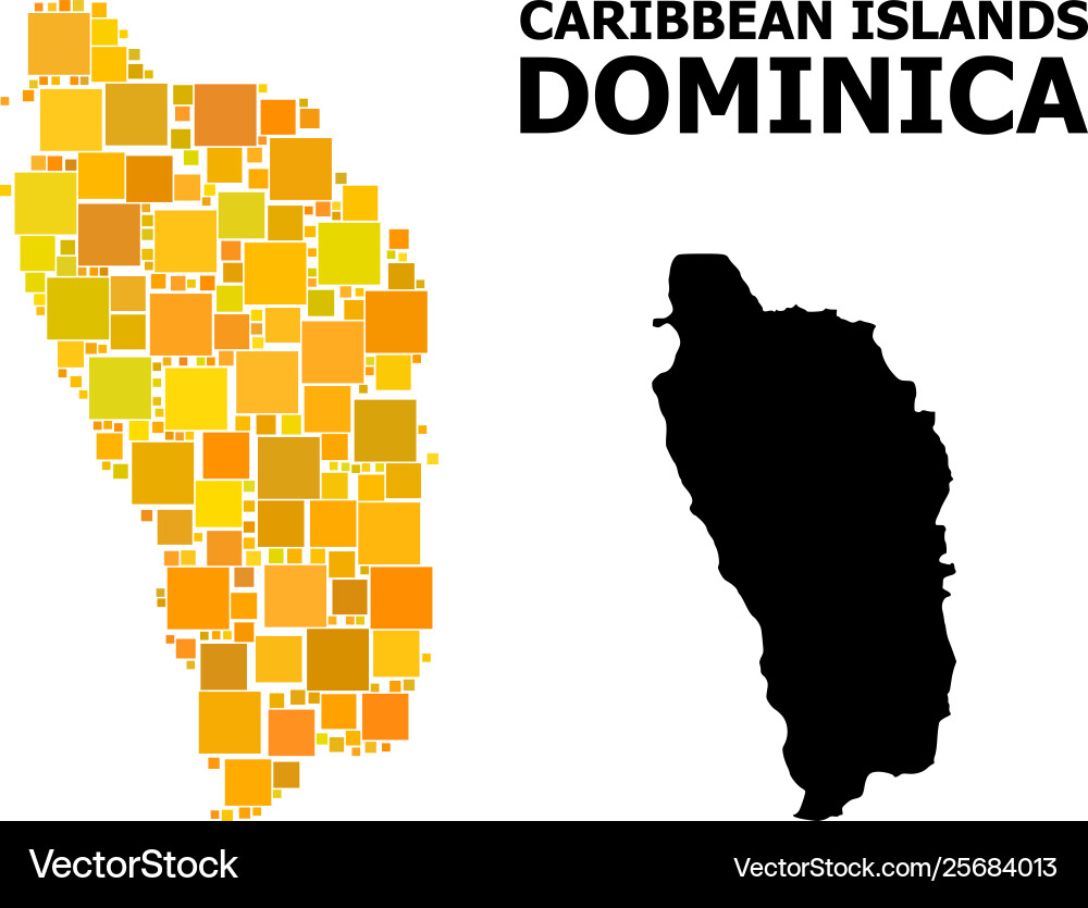 Gold square pattern map dominica island Vector Image
