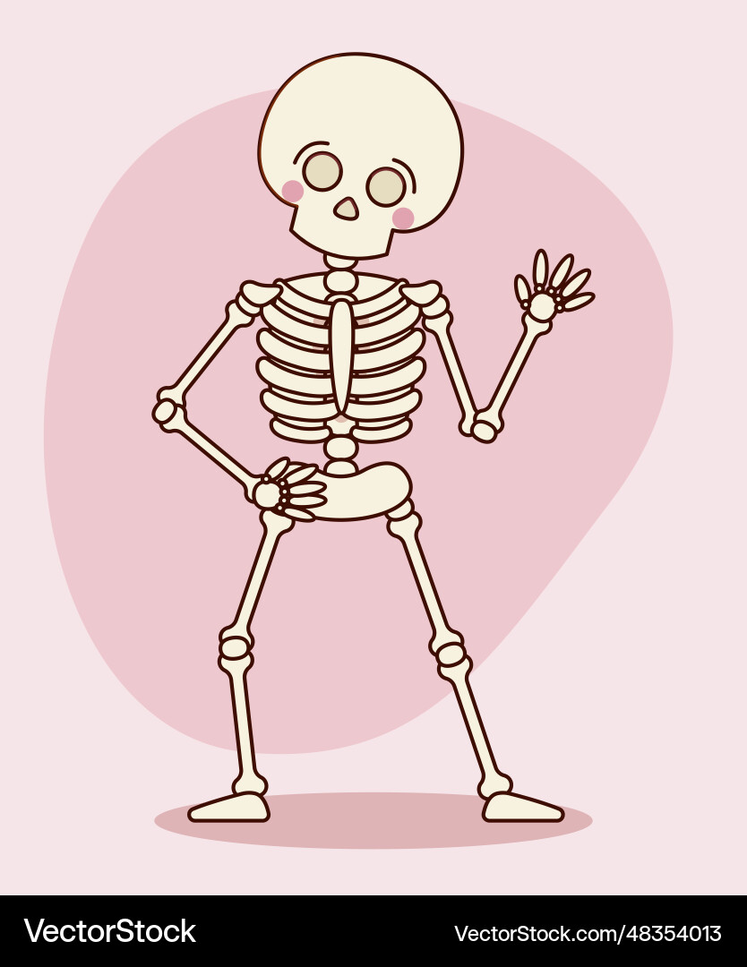Hand drawn skeleton cartoon isolated on white Hand drawn skeleton cartoon isolated on white vector image