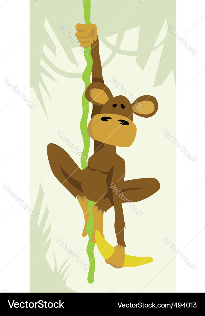 Monkey on vine Vector Image