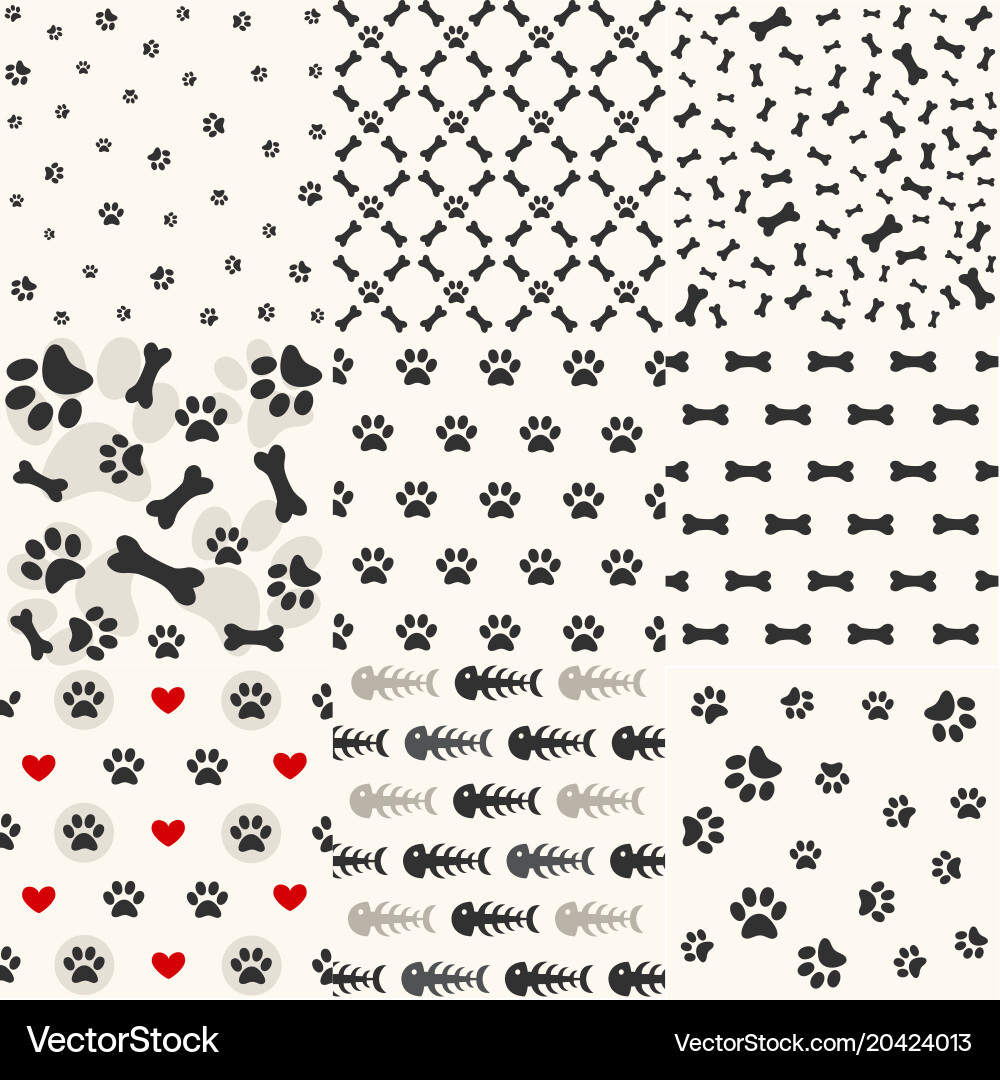 Paw Print & Bone Pattern Set vector image