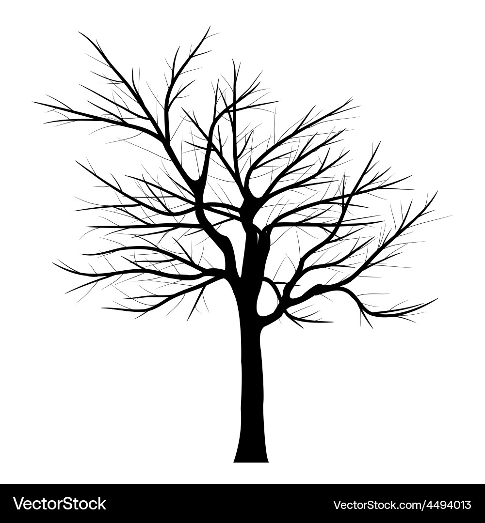 Trees with dead branch Vector Image