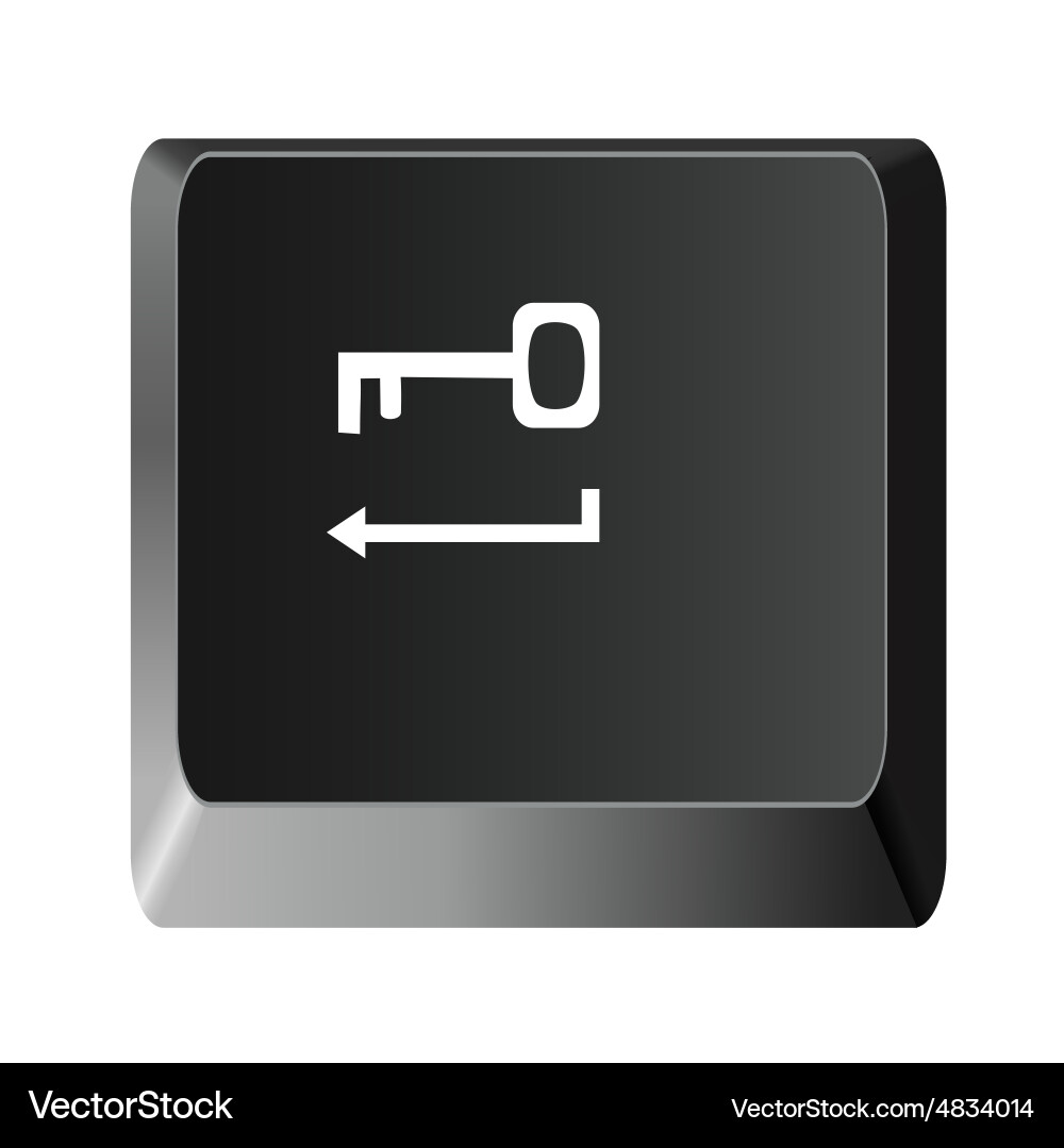 Button to enter the key vector image