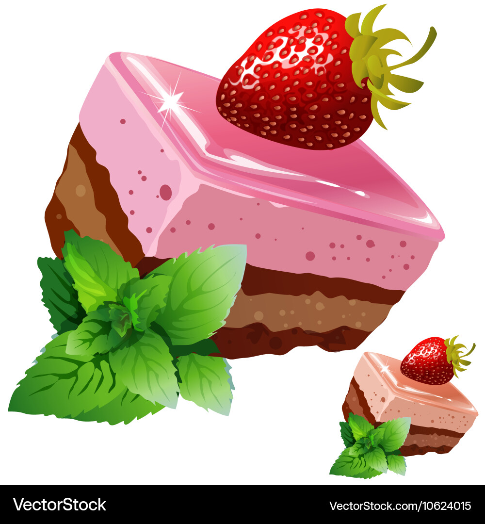 Strawberry Chocolate Cake with Mint Vector Image