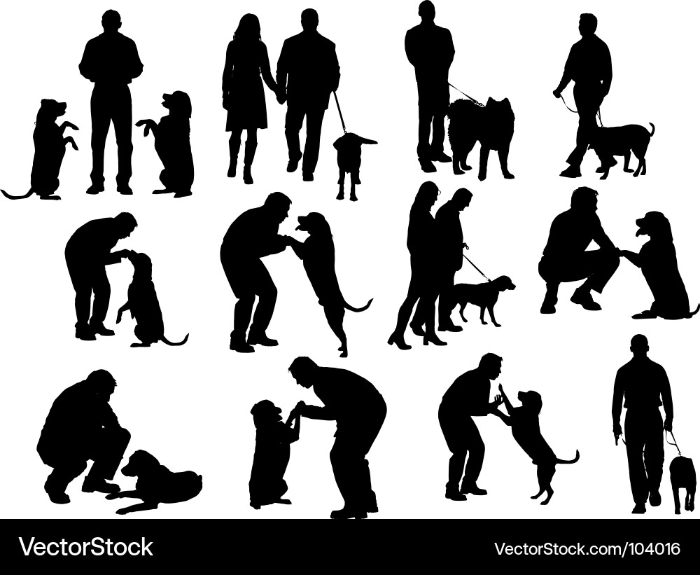 Man and Dog Walking Together vector image