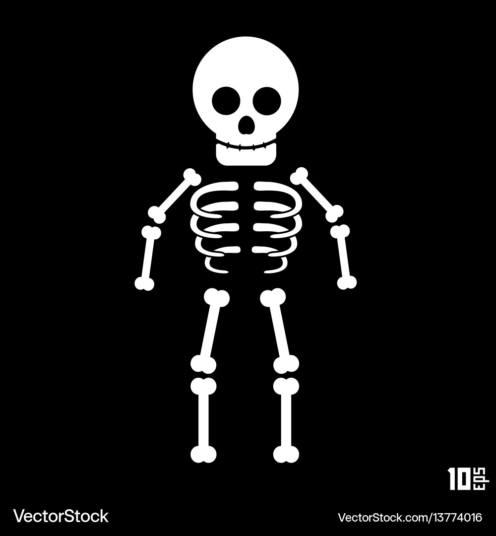 Skeleton on a black background Royalty Free Vector Image