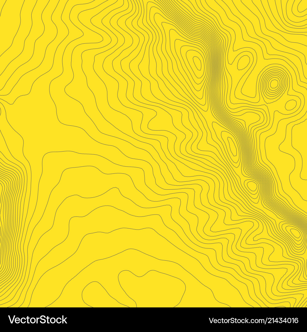 Topographic map background concept with space Topographic map background concept with space vector image