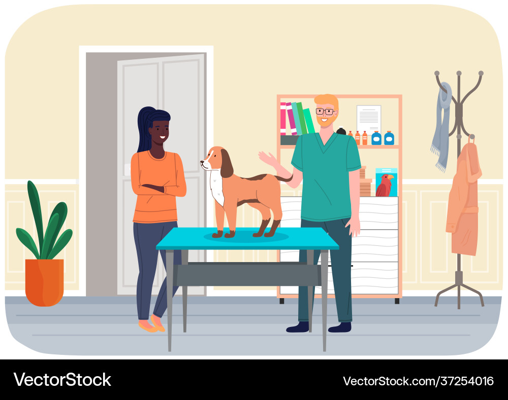Veterinarian doctor treat ginger dog in hospital Veterinarian doctor treat ginger dog in hospital vector image