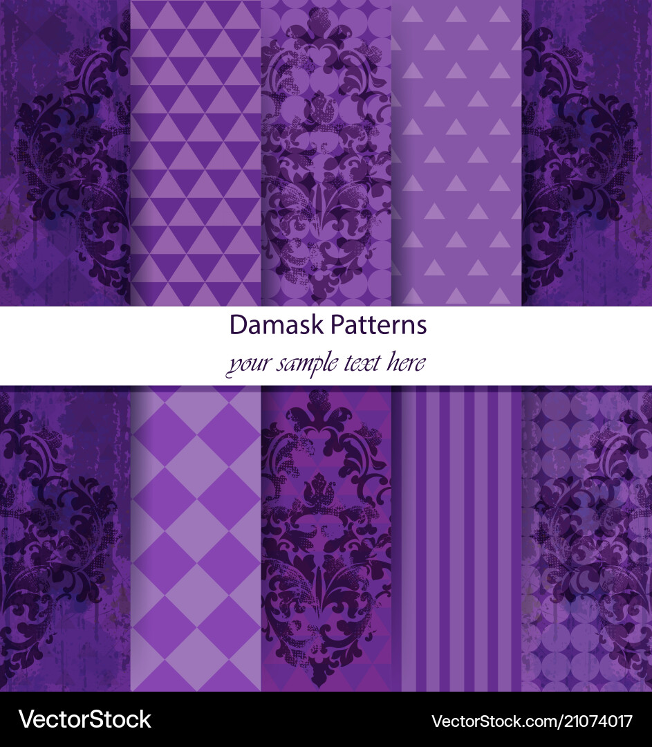 Damask Pattern Collection Vector Image