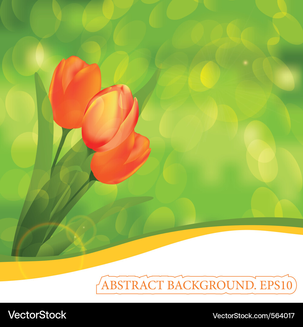Spring Tulip Background vector image