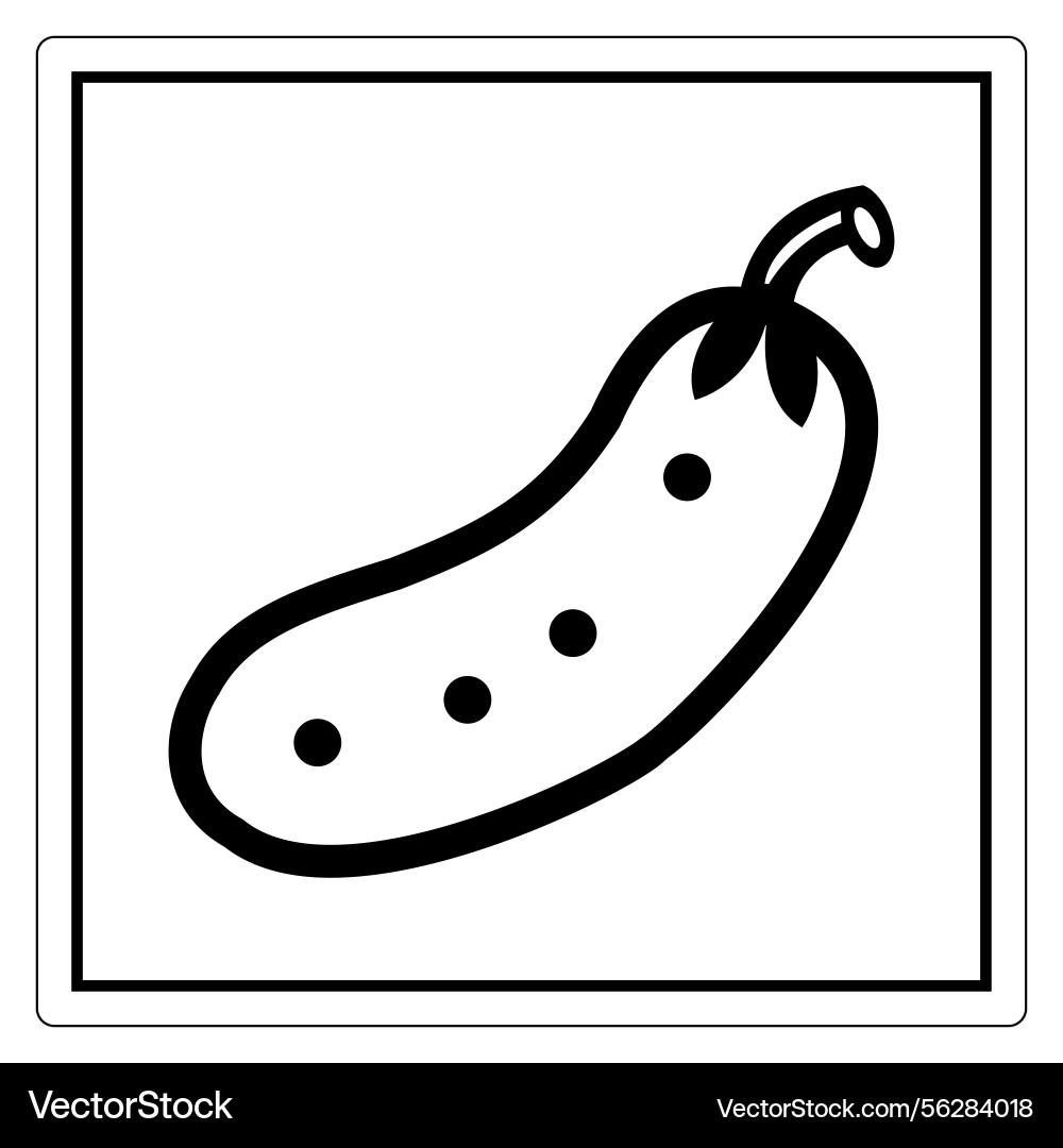 Hand-drawn of a cucumber with simple lines Hand-drawn of a cucumber with simple lines vector image