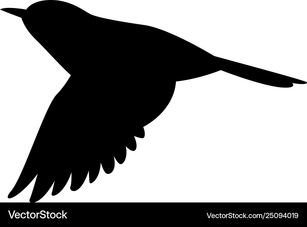 Black Flycatcher Silhouette Vector Image