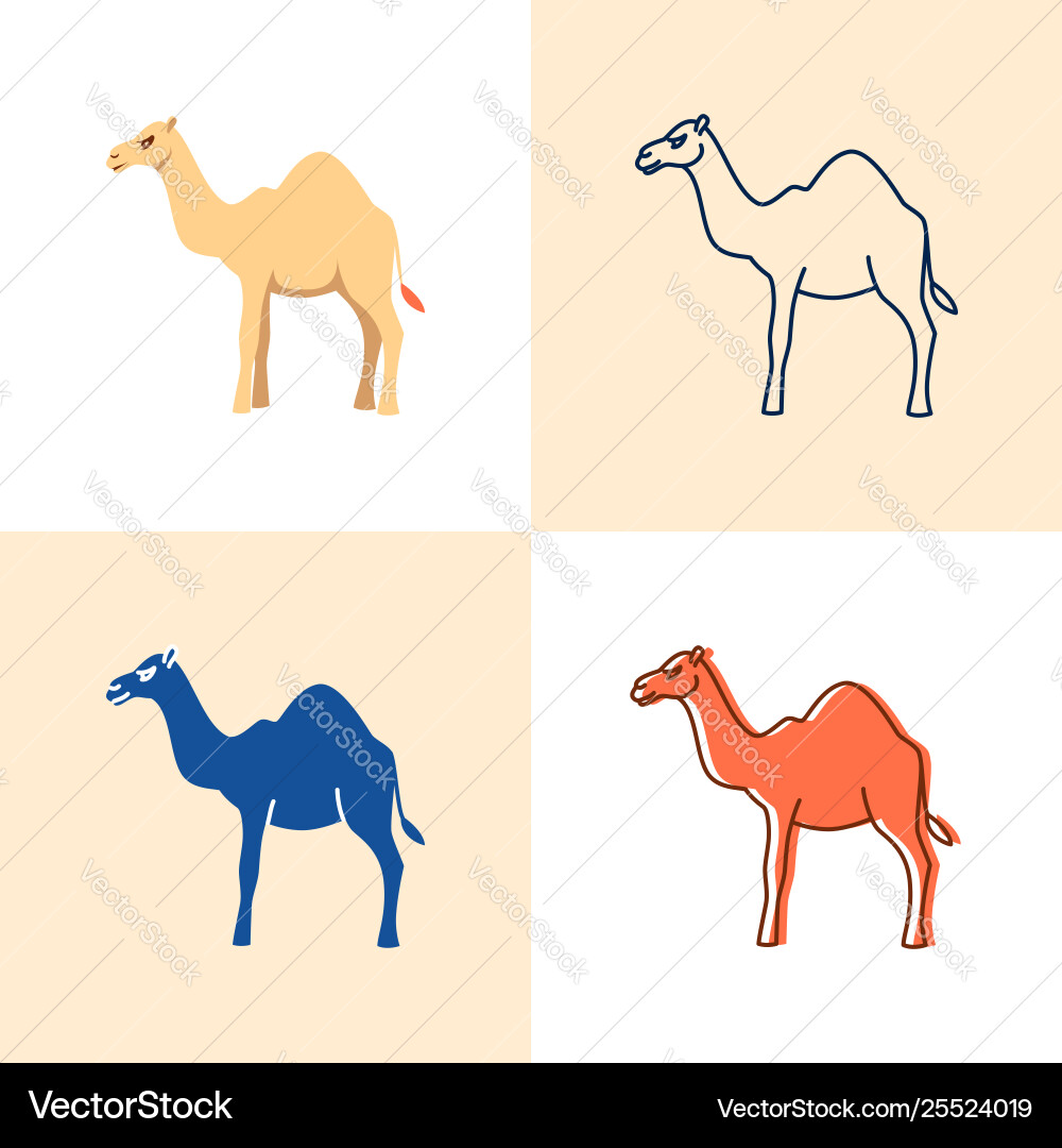 Camel Icon Set - Flat & Line Style vector image