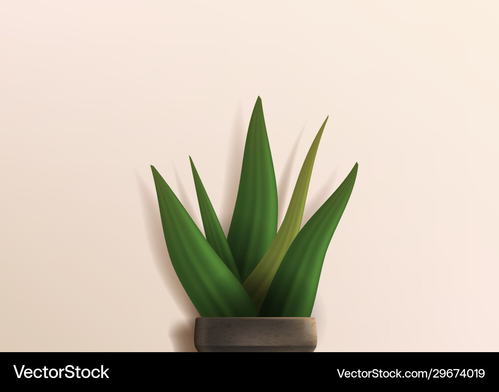 Realistic tropical leaves palm plant in flowerpot Realistic tropical leaves palm plant in flowerpot vector image