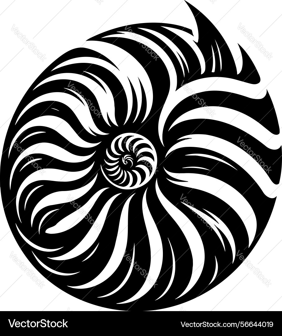 X-default spiral shell symbol Vector Image