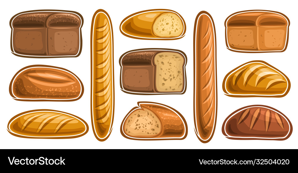 Assorted Bread Collection vector image