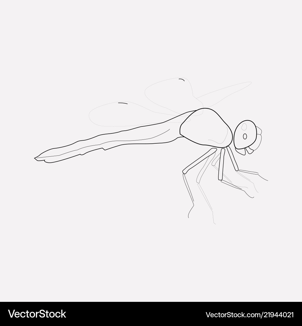 Dragonfly icon line element Dragonfly icon line element vector image