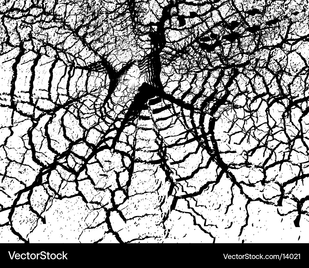 Eroded Cobweb Texture vector image