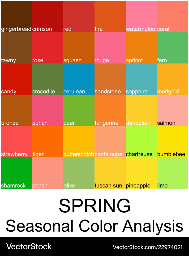 Spring Color Palette Guide vector image