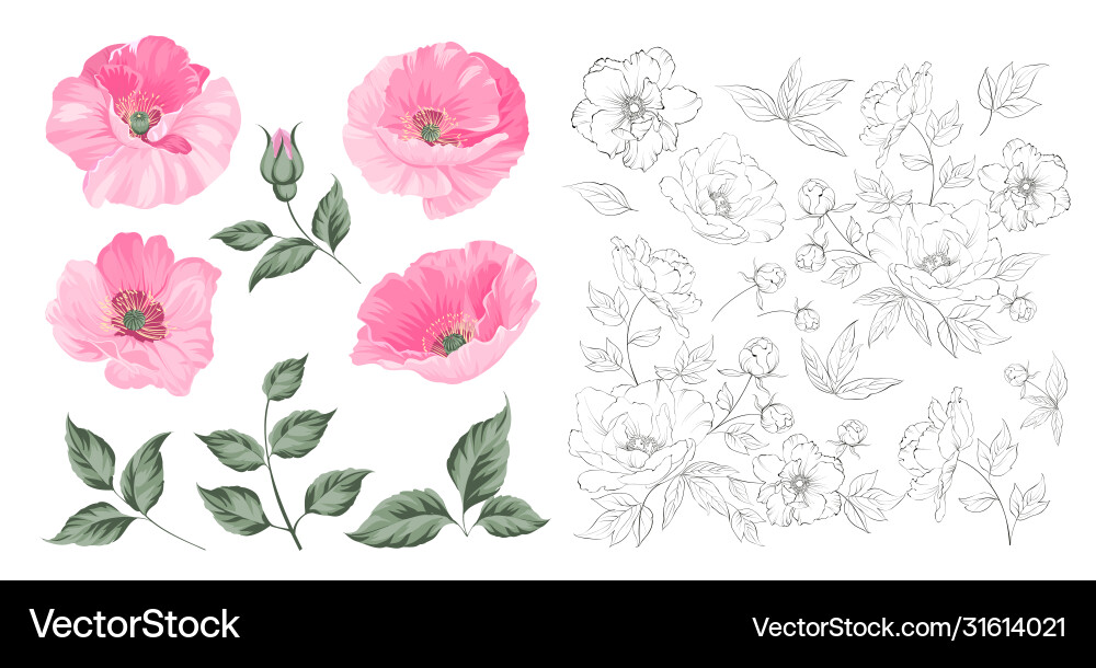 Vintage Mohn Set Hochzeit Blumen Bündel Blume Vintage Mohn Set Hochzeit Blumen Bündel Blume vektorbild