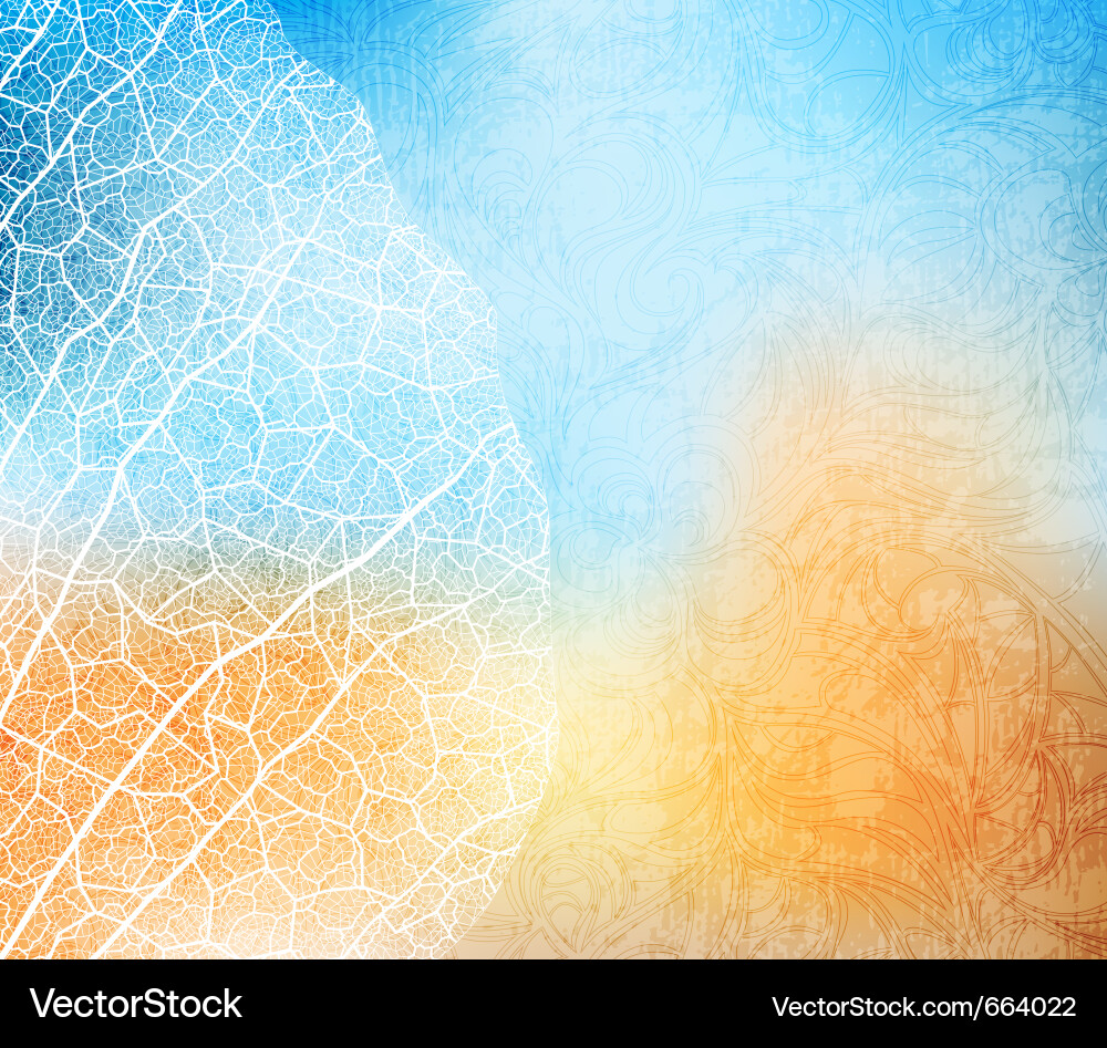 Leaf Skeleton Texture Vector Image